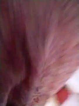 Pushpavathi 78 online show from 04-13-26, 12:31