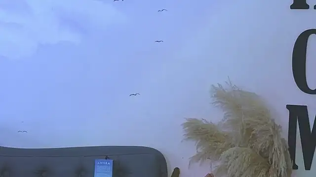 carolayrosse online show from 12-23-25, 04:01