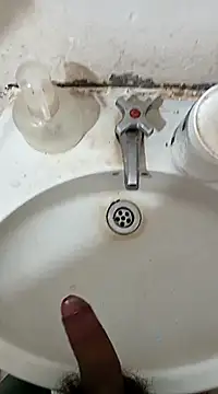 pedritolobito online show from 02-27-25, 11:50