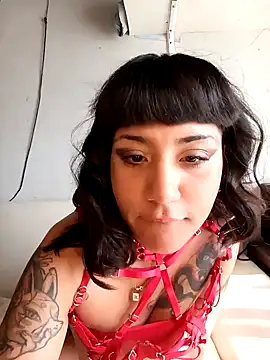 beabeaaok online show from 12-05-24, 08:17