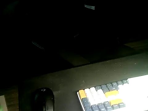 Snapshot of Ryan67533 chatting on 11-02-25, 12:15 Ryan67533 online show from 11-02-25, 12:15