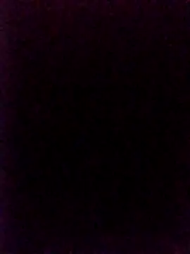 SteadyTientsin online show from 11-16-25, 07:57