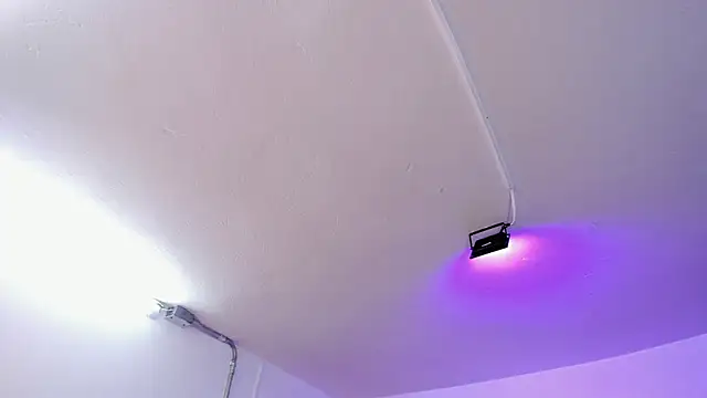 Amy Kiitty  online show from 02-15-26, 12:59