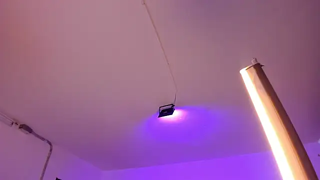 Amy Kiitty  online show from 02-04-26, 12:55