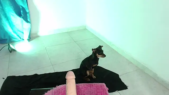 April sexycurvi online show from 11-21-25, 01:37