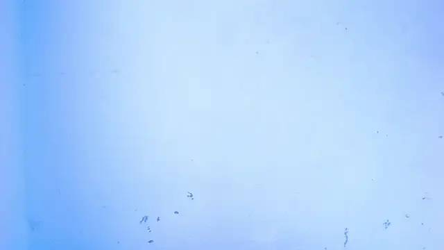 Snapshot of April_sexycurvi chatting on 09-18-25, 07:55 April sexycurvi online show from 09-18-25, 07:55