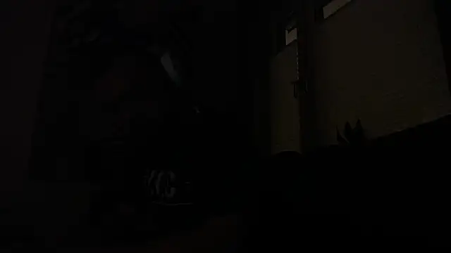 Sebuleczek online show from 12-03-24, 10:34