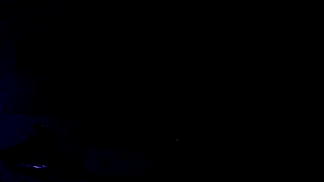 Youcunn online show from 04-15-26, 09:15