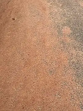 Snapshot of Black_mamba_madingo chatting on 03-20-25, 07:47 Black mamba madingo online show from 03-20-25, 07:47