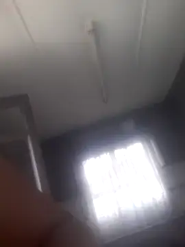 Feathergal69  online show from 02-02-25, 08:56