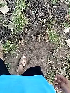 Piyush 2024 online show from 04-03-26, 02:18