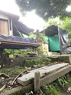 Snapshot of Jestebanano chatting on 10-02-25, 12:41 Jestebanano online show from 10-02-25, 12:41