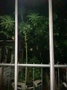 Snapshot of Jestebanano chatting on 09-18-25, 12:57 Jestebanano online show from 09-18-25, 12:57