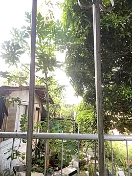 Snapshot of Jestebanano chatting on 09-22-25, 12:00 Jestebanano online show from 09-22-25, 12:00