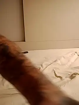 rolesexy online show from 01-19-25, 02:47