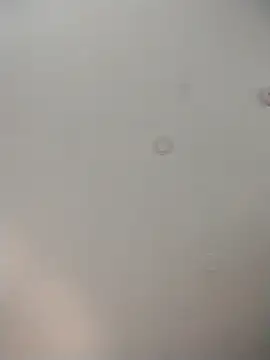 geilerschwanz64 online show from 12-01-25, 09:10