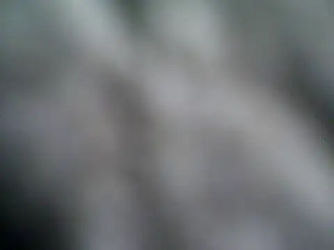 rootsf online show from 11-03-25, 03:23