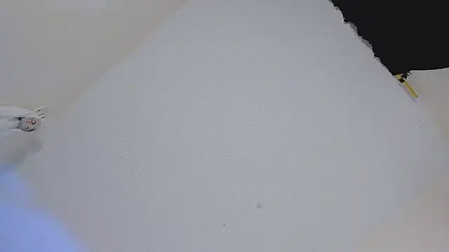 missycanoo online show from 10-22-25, 12:43