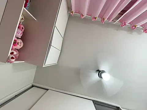 Snapshot of lariic chatting on 03-17-25, 11:13 lariic online show from 03-17-25, 11:13