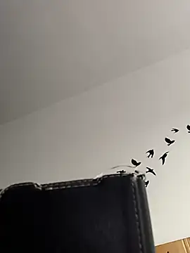 bogland33 online show from 03-05-26, 08:00