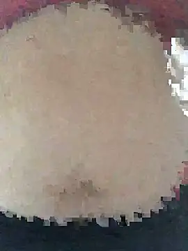 ahross online show from 04-08-26, 09:33