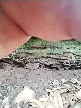 Snapshot of Blacklicious777 chatting on 11-10-25, 04:45 Blacklicious777 online show from 11-10-25, 04:45