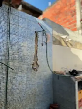 Leo bunny hot online show from 02-03-26, 08:58