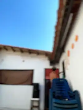 Leo bunny hot online show from 02-06-26, 07:21