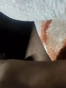 Kolkataboiy online show from 01-11-26, 07:54