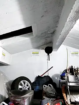 Xxxasrty online show from 11-28-25, 01:06