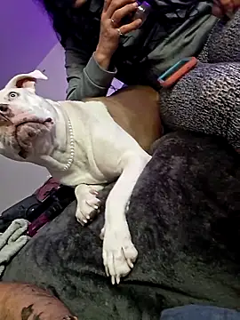 Snapshot of Jokergotherwett chatting on 03-03-26, 08:10 Jokergotherwett online show from 03-03-26, 08:10