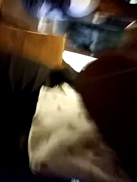 Snapshot of Landlordlandlord12 chatting on 01-05-26, 08:01 Landlordlandlord12 online show from 01-05-26, 08:01