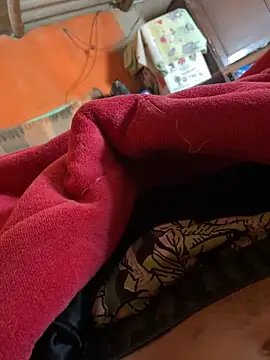 Snapshot of kaiqueeeh_90 chatting on 03-15-25, 06:10 kaiqueeeh 90 online show from 03-15-25, 06:10