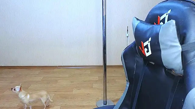 doll barbieee online show from 03-09-25, 05:06