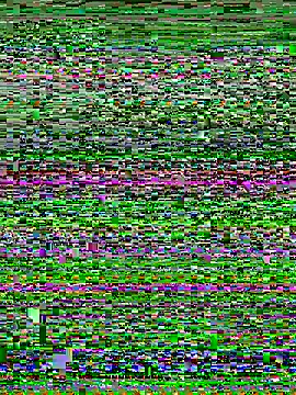 Curveysinaa online show from 11-04-25, 05:44