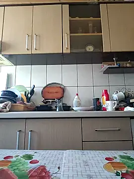 Snapshot of vulpe8400 chatting on 02-25-25, 08:36 vulpe8400 online show from 02-25-25, 08:36