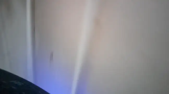 elcobin online show from 03-16-25, 03:58