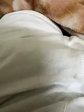 hamed-697 online show from 12-05-24, 09:22