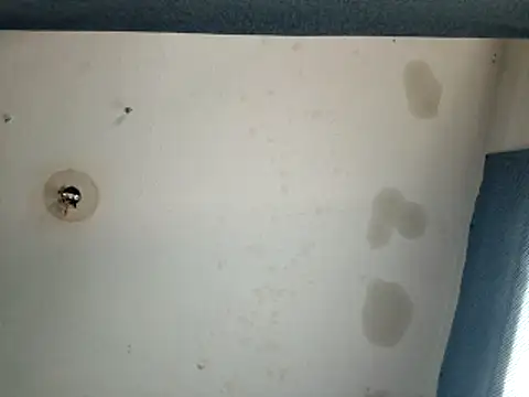 DevinToore online show from 10-17-25, 09:49