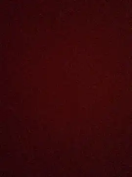 Snapshot of rosaditapussy chatting on 09-09-25, 03:16 rosaditapussy online show from 09-09-25, 03:16