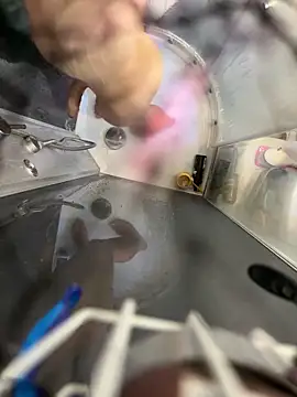 lescro95  online show from 04-06-26, 02:29