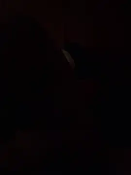 Dikkiduohottt online show from 12-21-24, 05:14