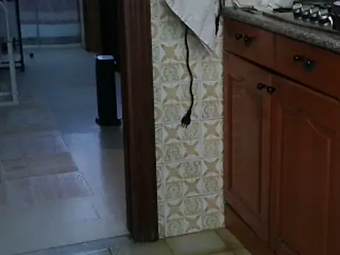 VeneRed online show from 10-13-25, 08:05