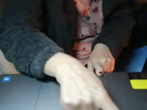 VeneRed online show from 01-14-26, 09:51