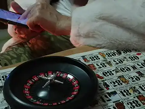 VeneRed online show from 11-12-25, 07:18