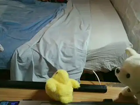Snapshot of VeneRed chatting on 05-01-26, 05:18 VeneRed online show from 05-01-26, 05:18
