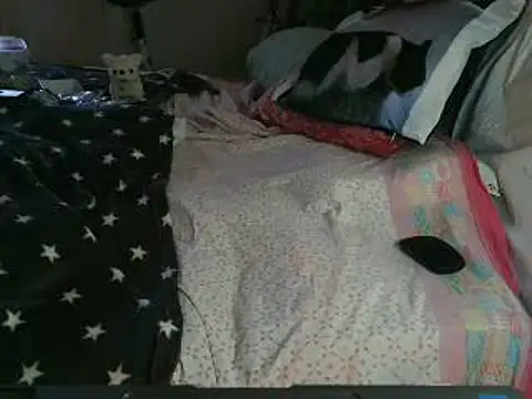 Snapshot of VeneRed chatting on 03-26-26, 11:08 VeneRed online show from 03-26-26, 11:08