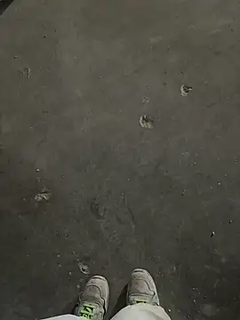 Lecatore80 online show from 09-30-25, 01:39