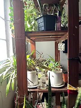 alburt 1996 online show from 04-04-26, 03:46