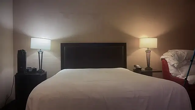 GymBoyVan online show from 10-01-25, 04:39